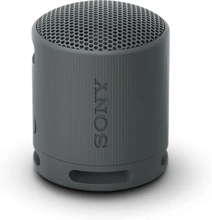 Sony SRS-XB100